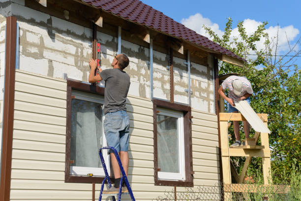 Best Siding Painting and Refinishing  in Iowa Park, TX