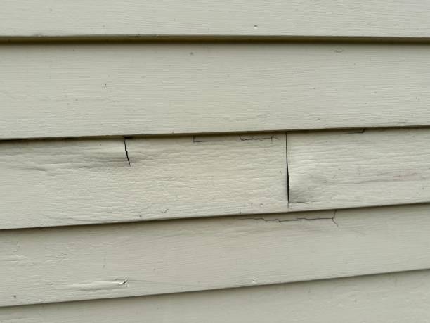 Best Wood Siding Installation  in Iowa Park, TX